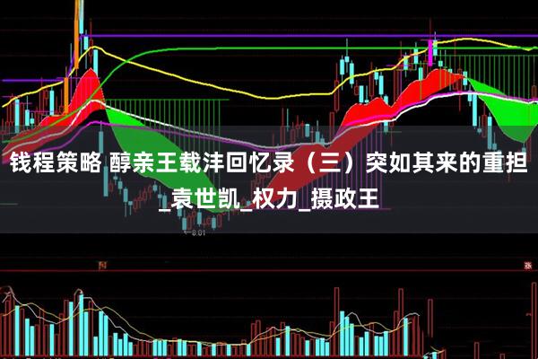 钱程策略 醇亲王载沣回忆录（三）突如其来的重担_袁世凯_权力_摄政王